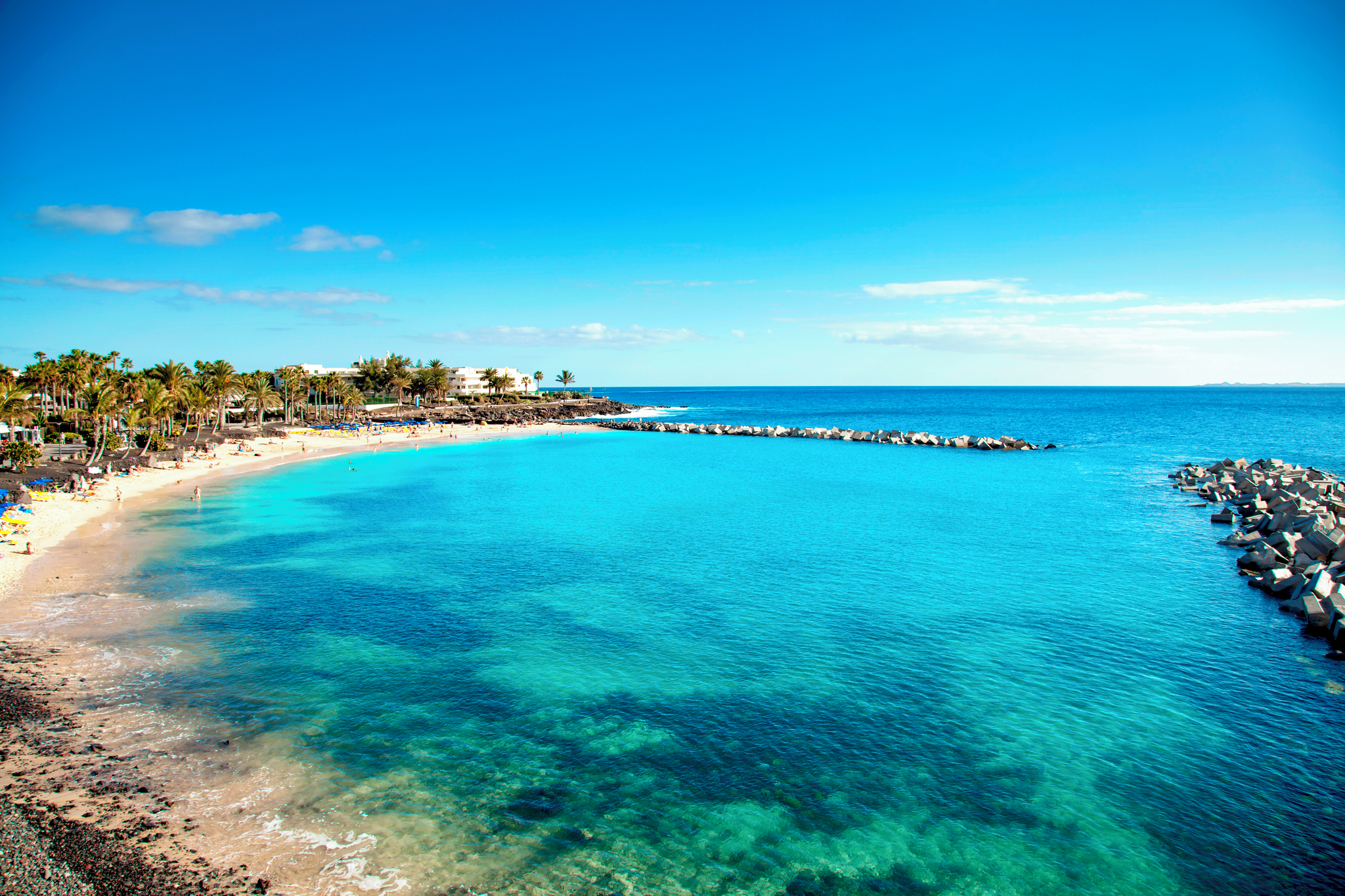 A scenic view of Playa Flamingo, featuring clear turquoise waters, sandy beach, and palm trees under a bright blue sky.