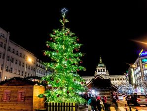 Wenceslas Square Christmas Market (Dec - Jan)*