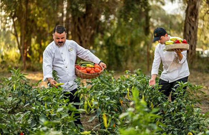 //www.jet2holidays.com/-/media/assets/michelin star/cfu_88467_sentido-apollo-palace_230326_02_custom-overview--689-x-448.jpeg