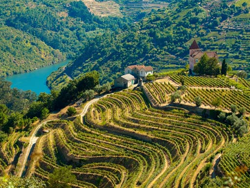 Gateway to the wine region