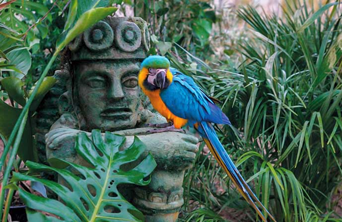 //www.jet2holidays.com/-/media/assets/product images - custom overview groups/alc/magic natura/terra/alc72808magicnaturaanimalwaterparkpolynesianlodgeresort032101.jpg