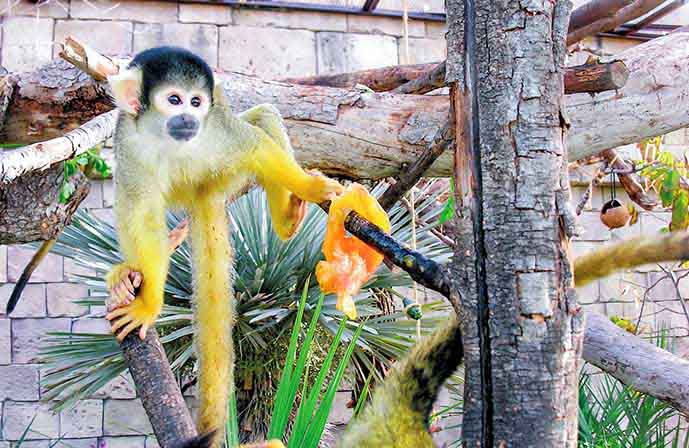 //www.jet2holidays.com/-/media/assets/product images - custom overview groups/alc/magic natura/terra/alc_72808_magic_natura_1214_18.jpg