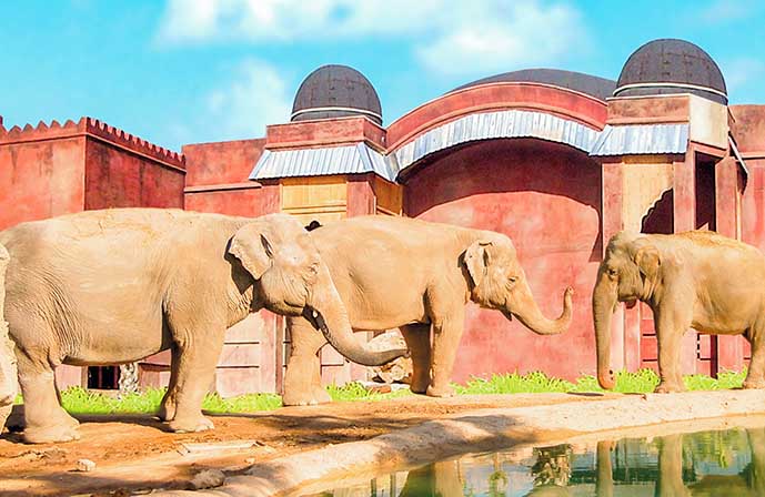 //www.jet2holidays.com/-/media/assets/product images - custom overview groups/alc/magic natura/terra/alc_72808_magic_natura_1214_19.jpg