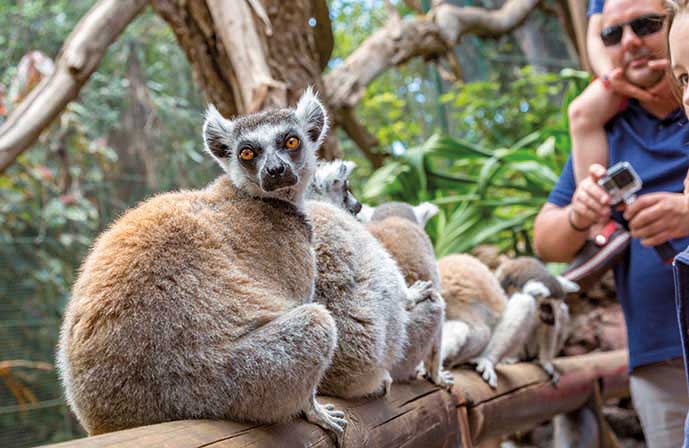 //www.jet2holidays.com/-/media/assets/product images - custom overview groups/fue/oasis park/fue_oasis_park_0117_05.jpg