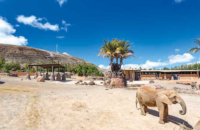 //www.jet2holidays.com/-/media/assets/product images - custom overview groups/fue/oasis park/fue_oasis_park_0117_10.jpg