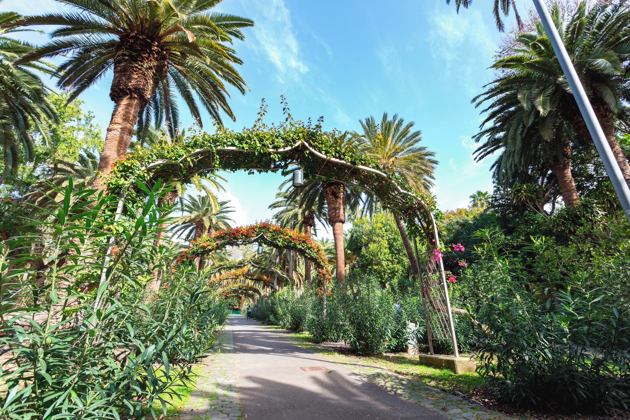 Parque Garcia Sanabria 