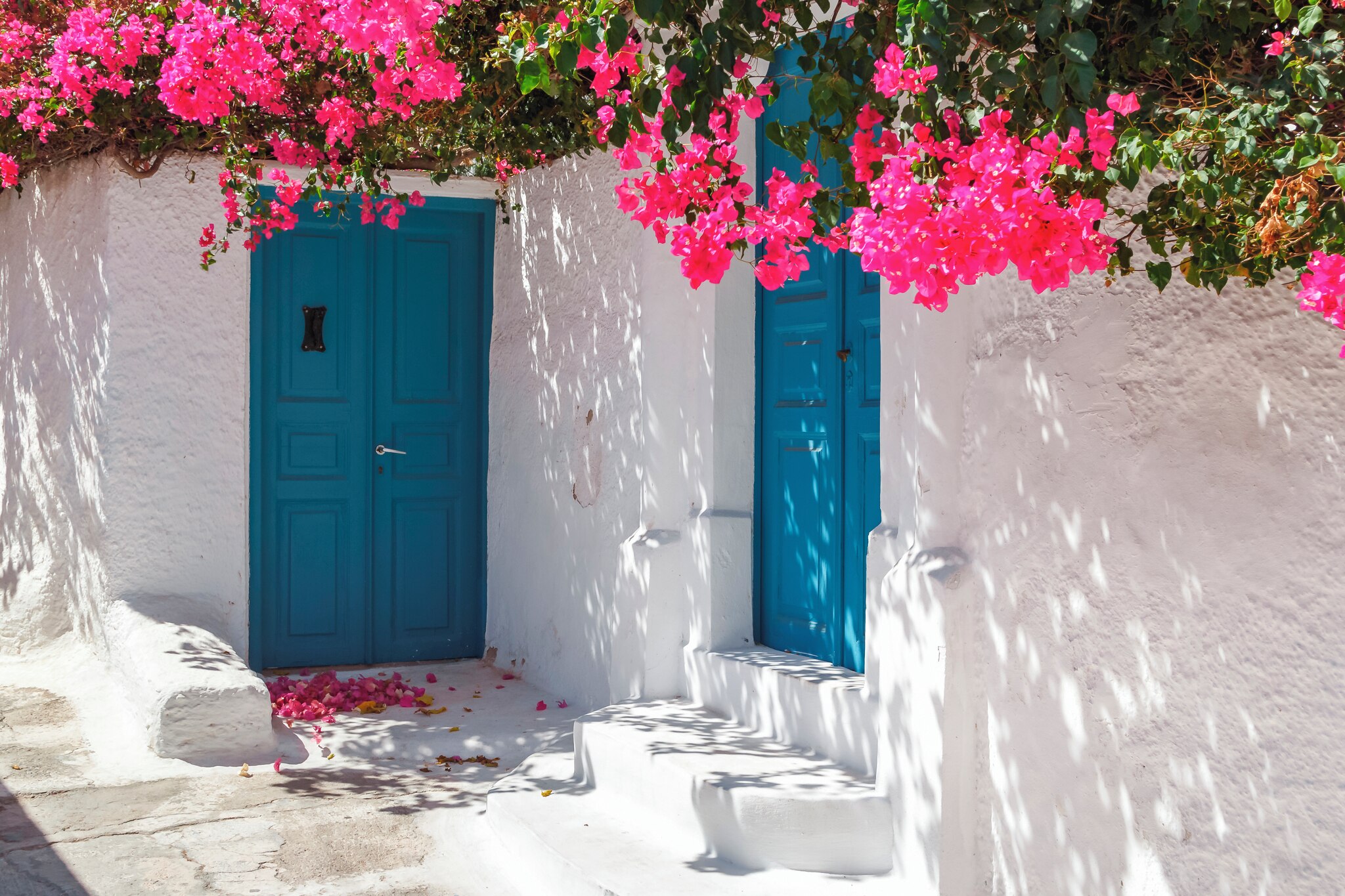 A Mesaria street with bright blue door against a white wall, adorned with pink flowers, casting soft shadows in the sunlight.