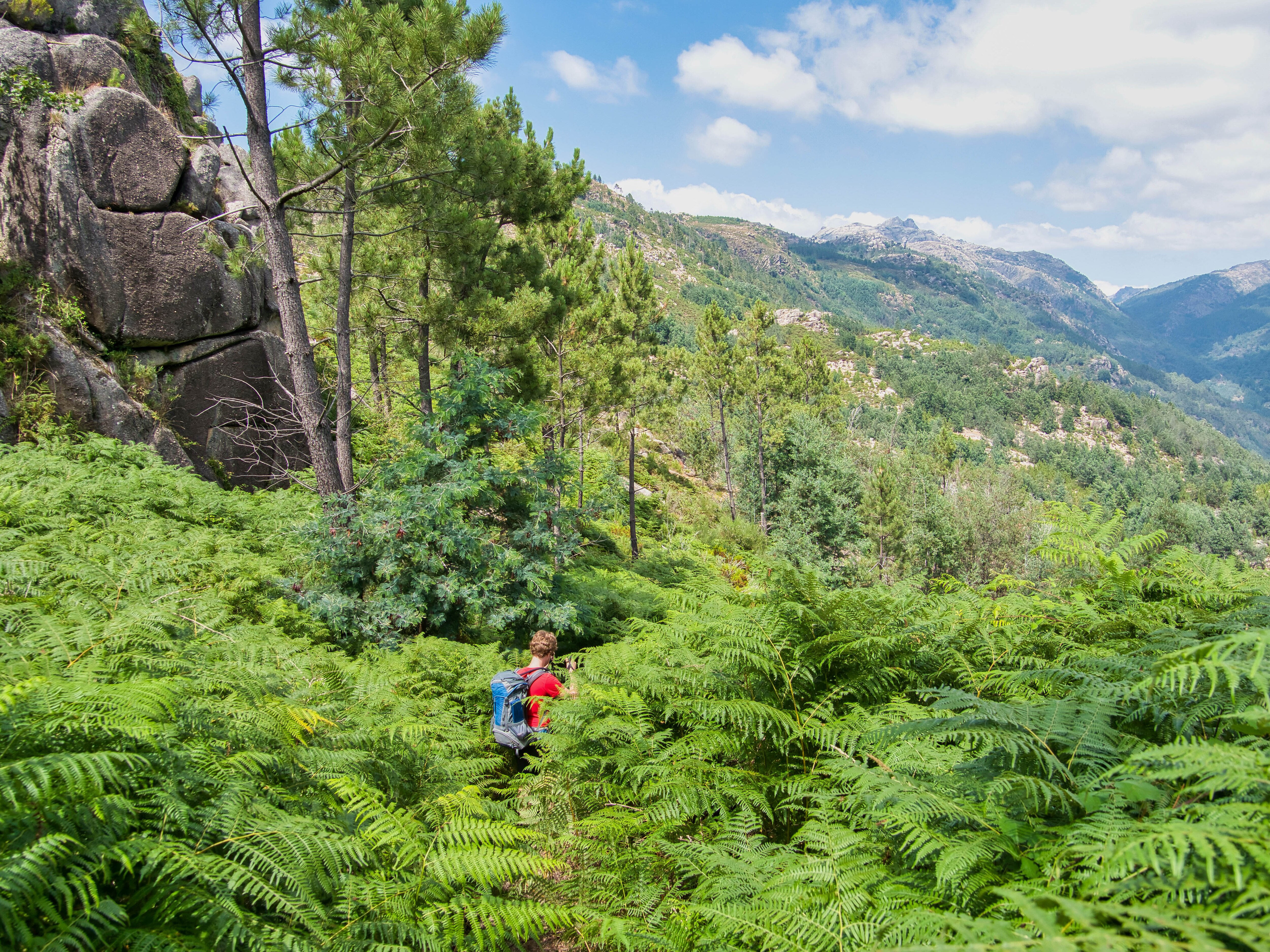 Peneda Geres National Park  
