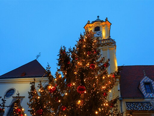 The giant Christmas tree 