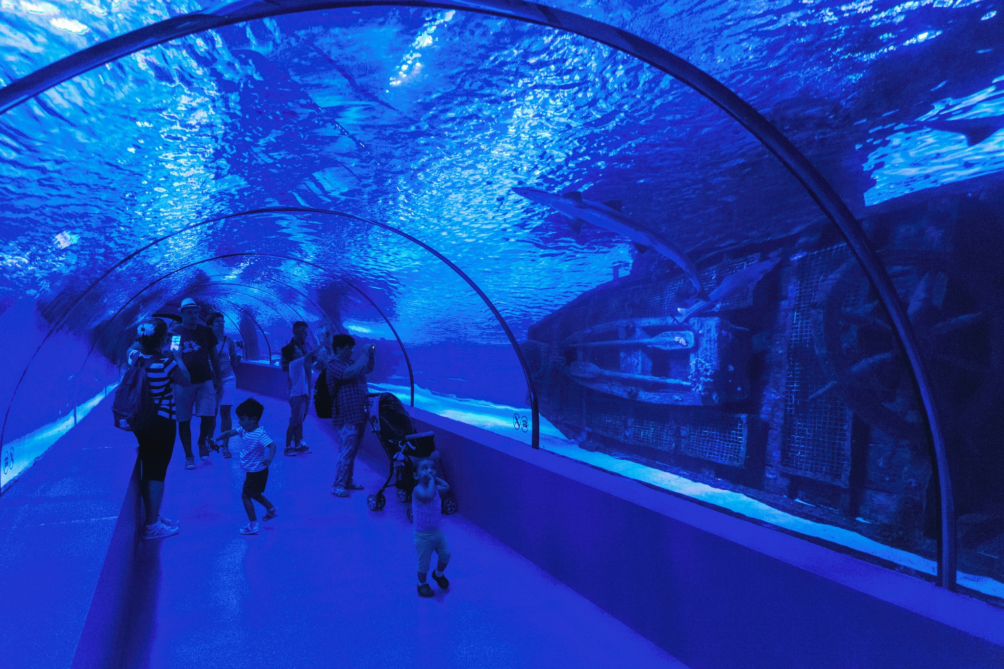 Antalya Aquarium