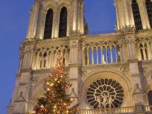 Notre-Dame Cathedral Christmas Market (Dec*)
