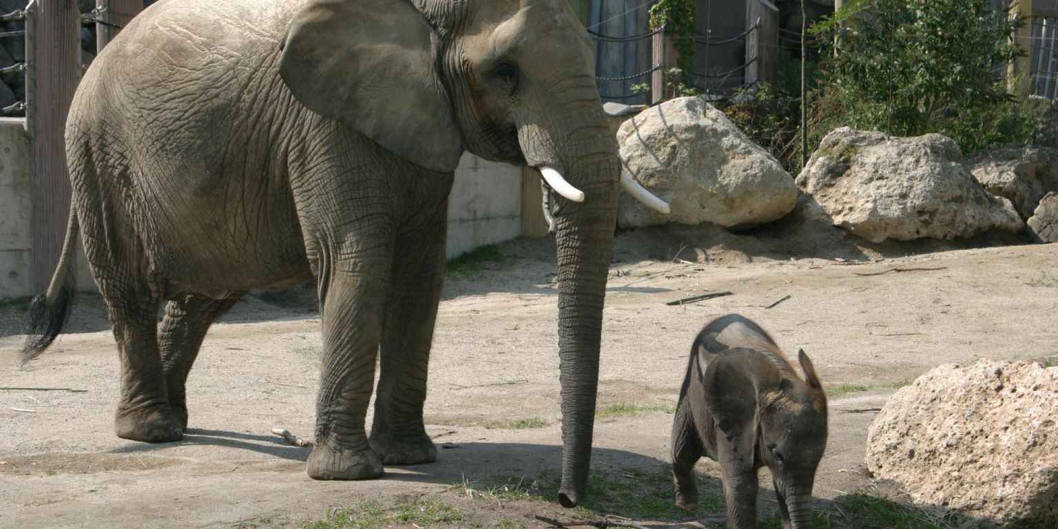 Tierpark (Berlin) Jet2holidays 2024/2025