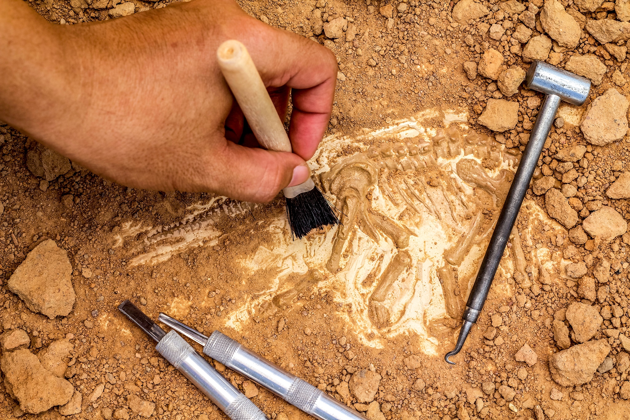 Archaeological Museum