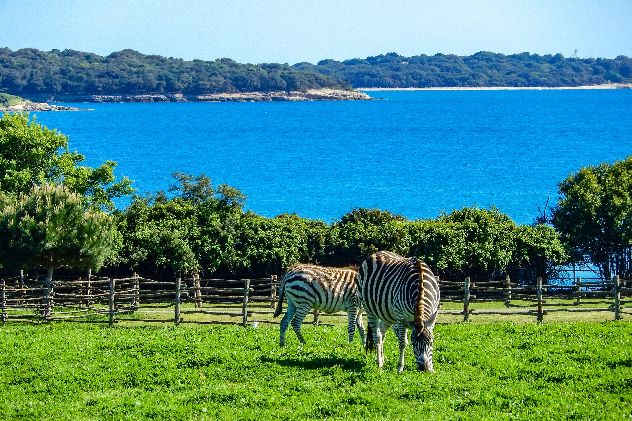 Veliki Brijun Island