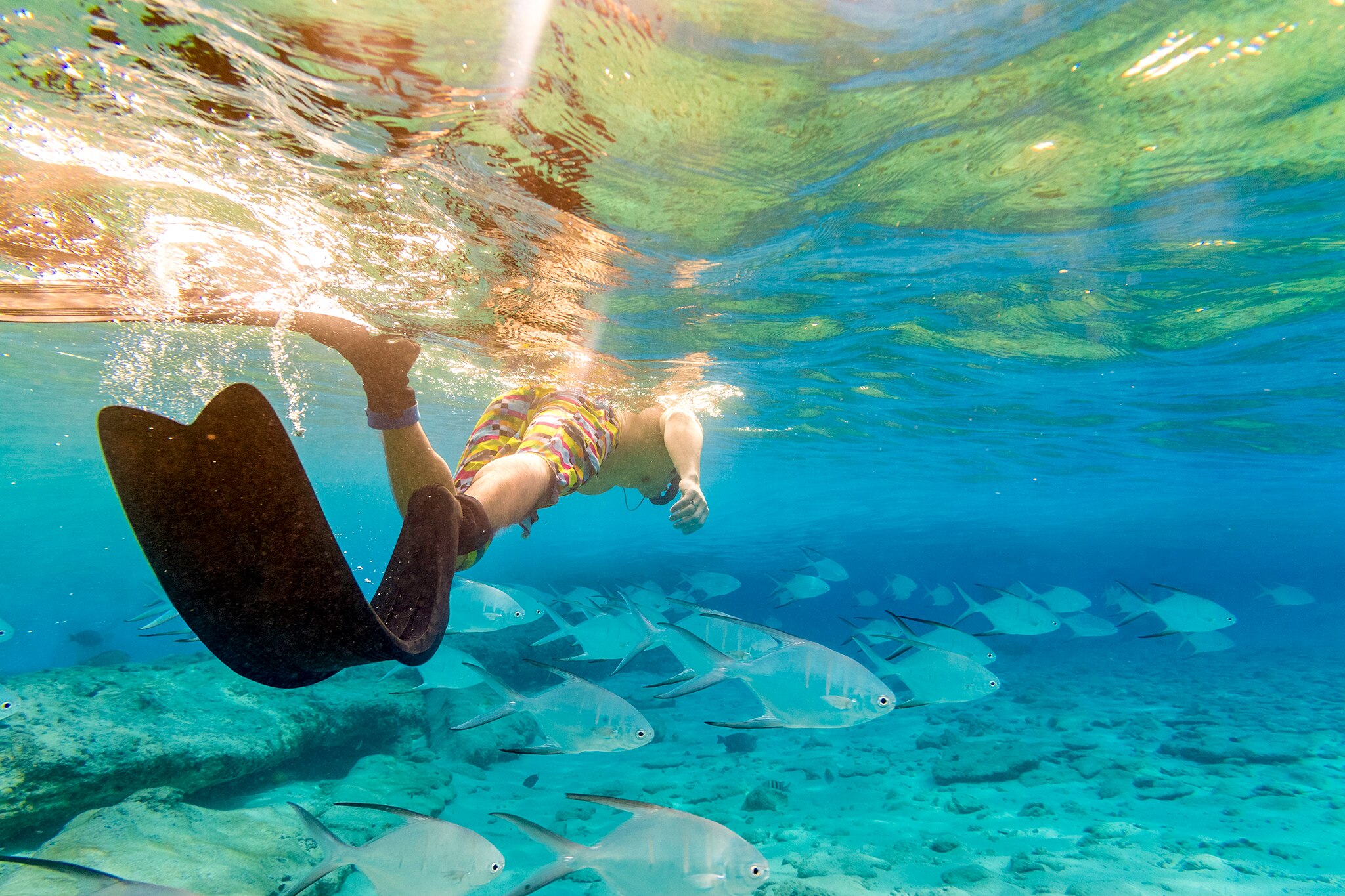 Scuba diving and snorkelling 