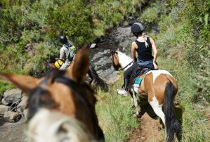 Horse Riding Cyprus - Eagle Mountain Ranch
