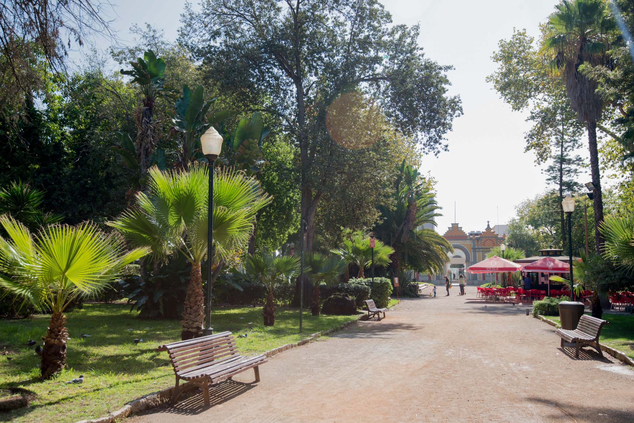 Jardim da Alameda João de Deus