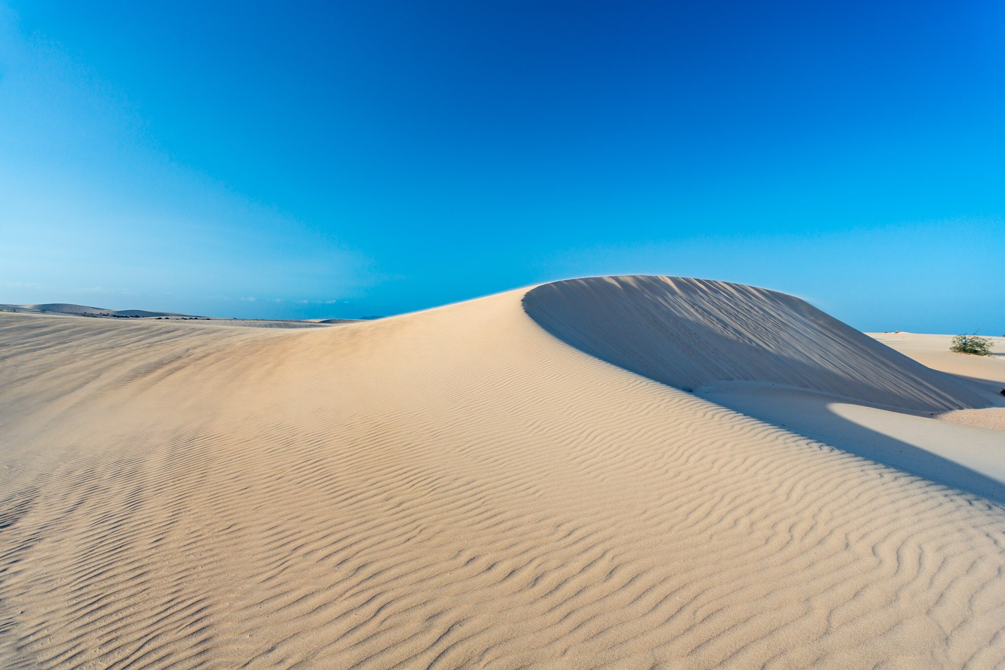 Corralejo Sand Dunes and Grandes Playas