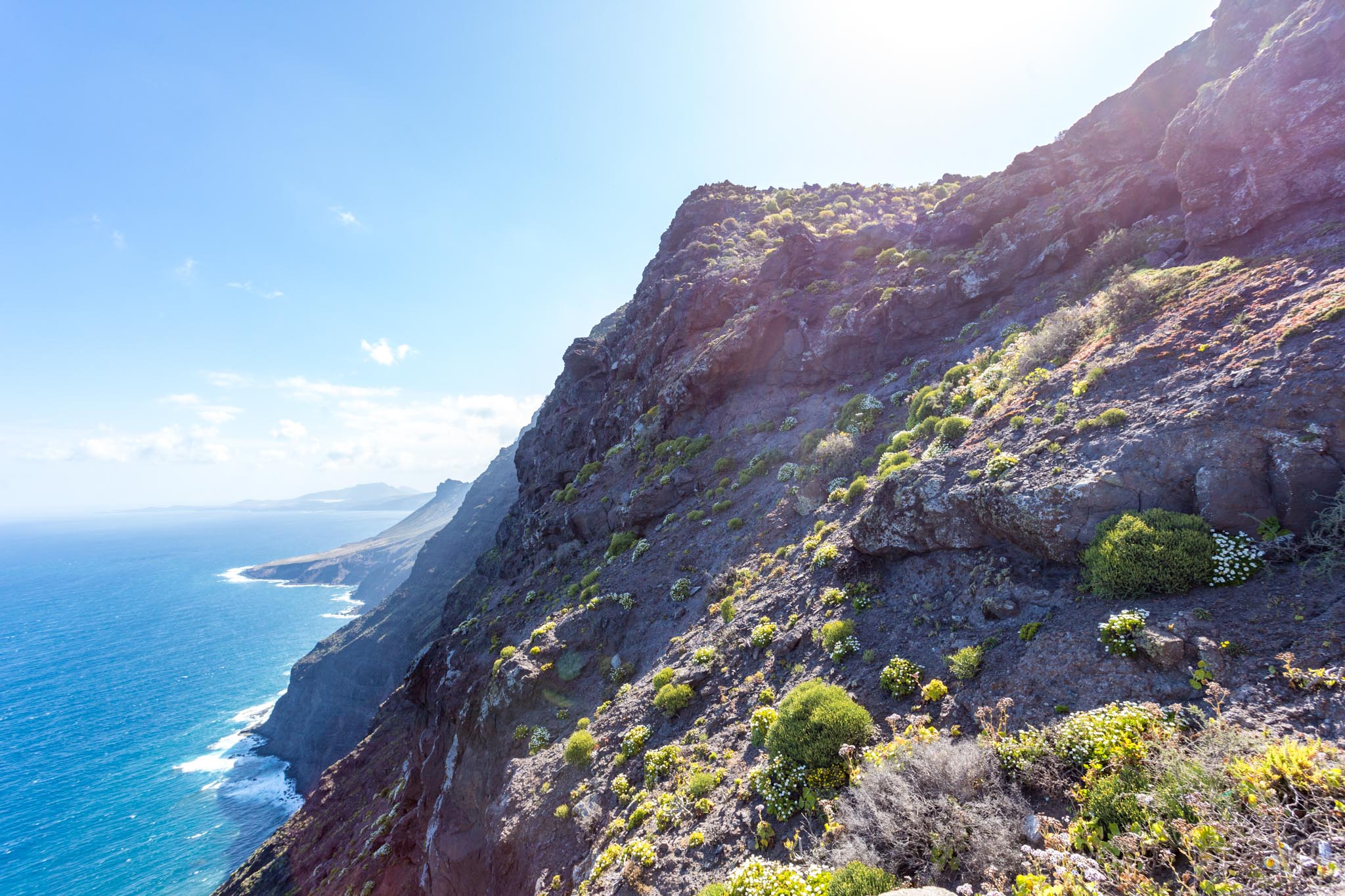 Tamadaba National Park