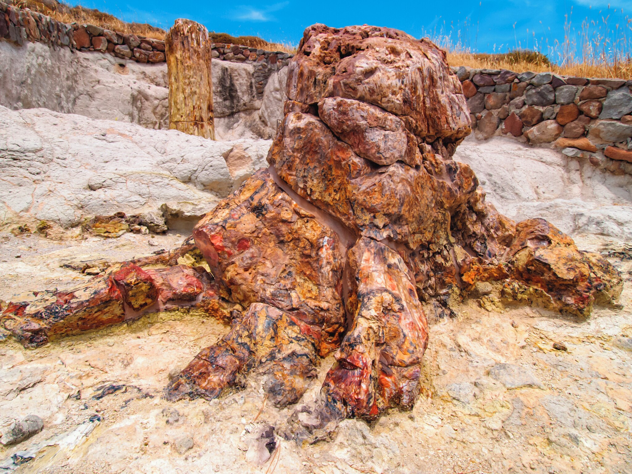 Petrified forest of Lesvos