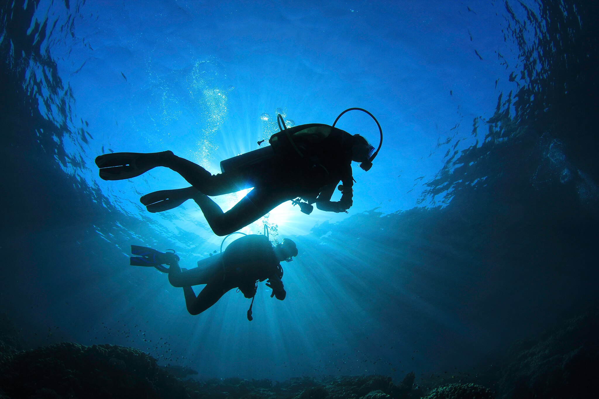 Learn to scuba dive