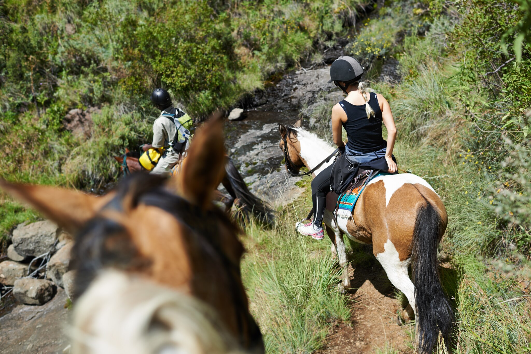 Ischia Horse Trekking