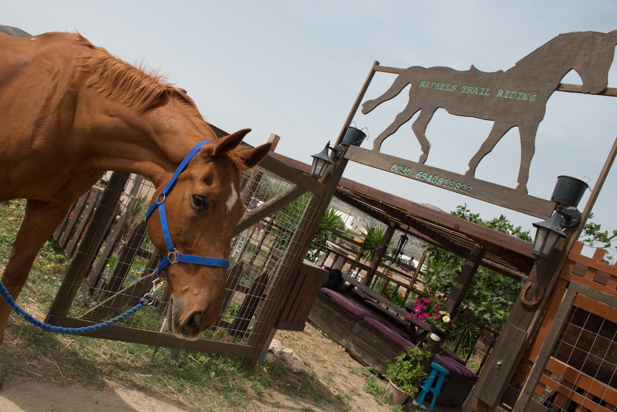 Rafaels Trail Riding