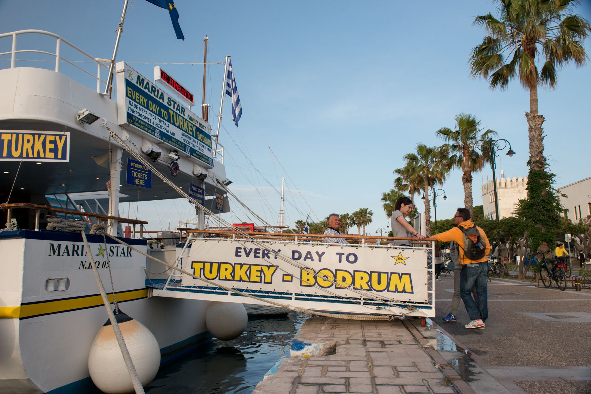 A cruise ship docked at a harbor with palm trees lining the background, advertising day trips to Bodrum, Turkey.