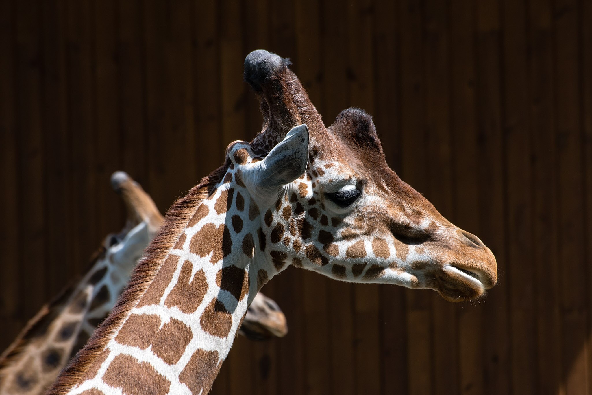 Krakow Zoo (Krakow) | Jet2holidays