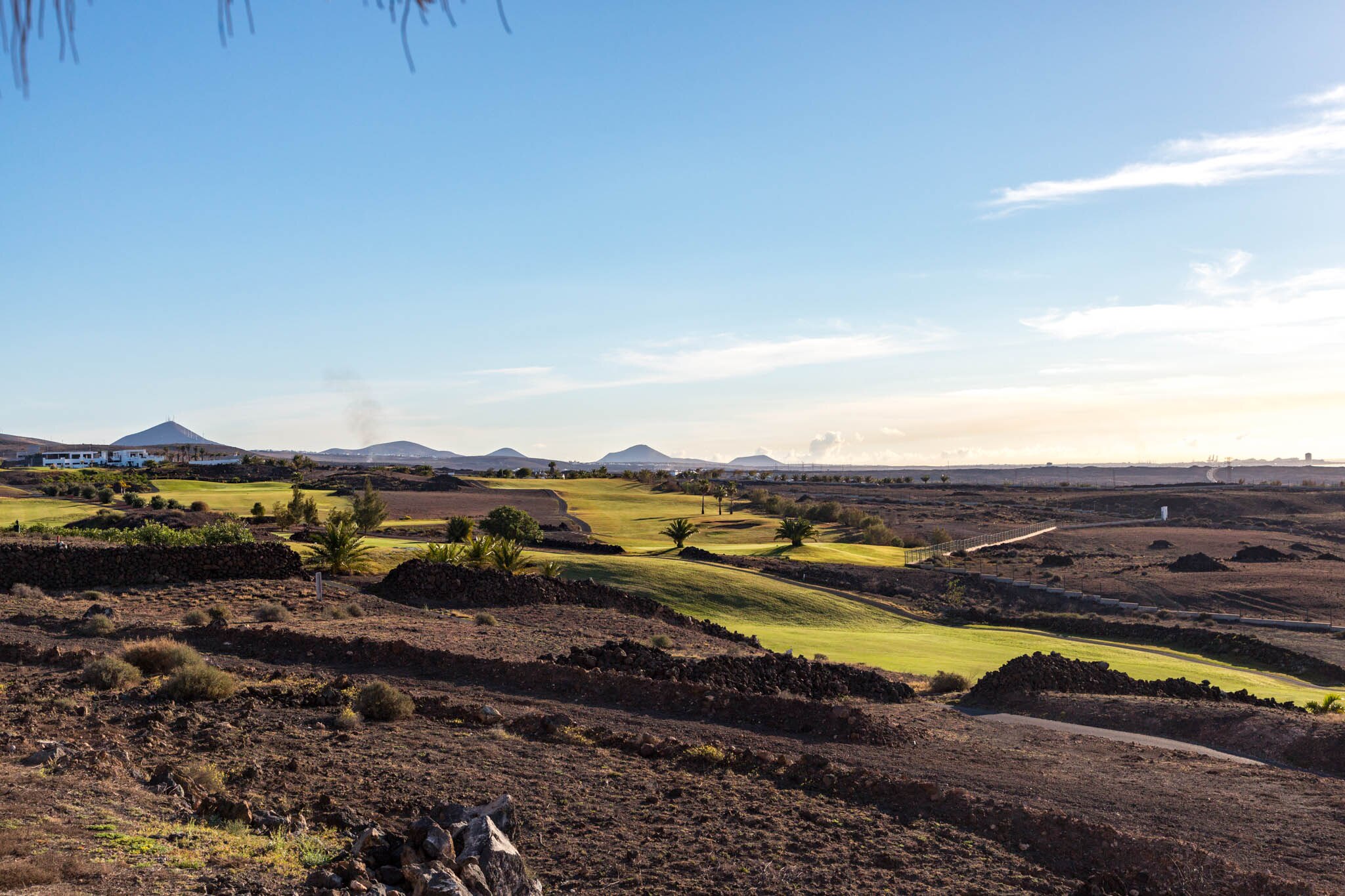 Lanzarote Golf course featuring lush green fairways, palm trees, and volcanic landscapes under a clear blue sky. 