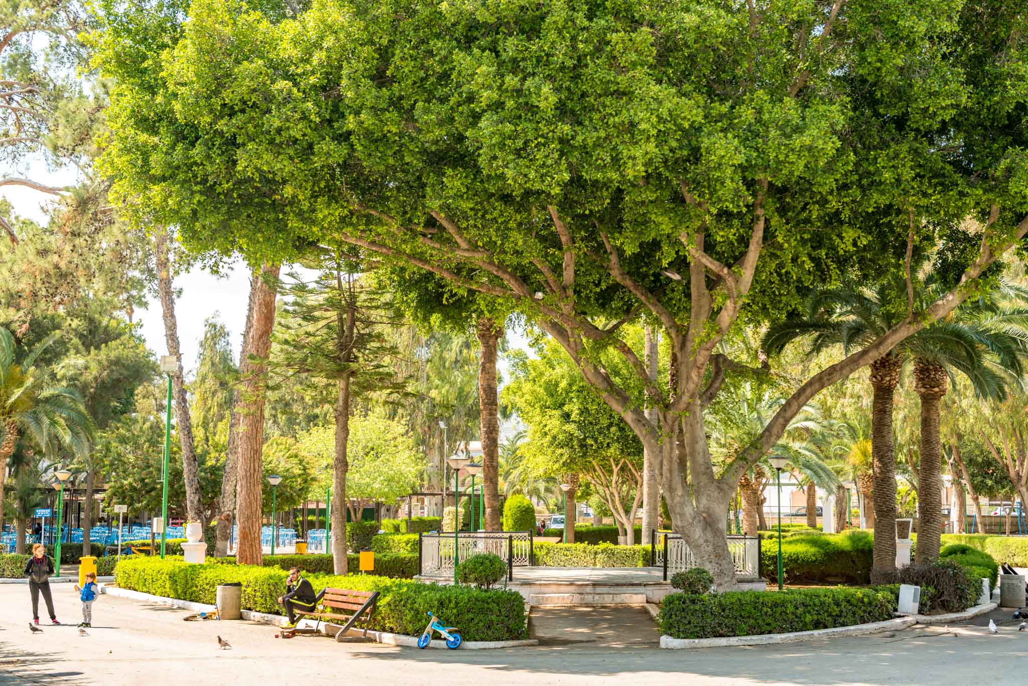 Limassol Municipal Gardens