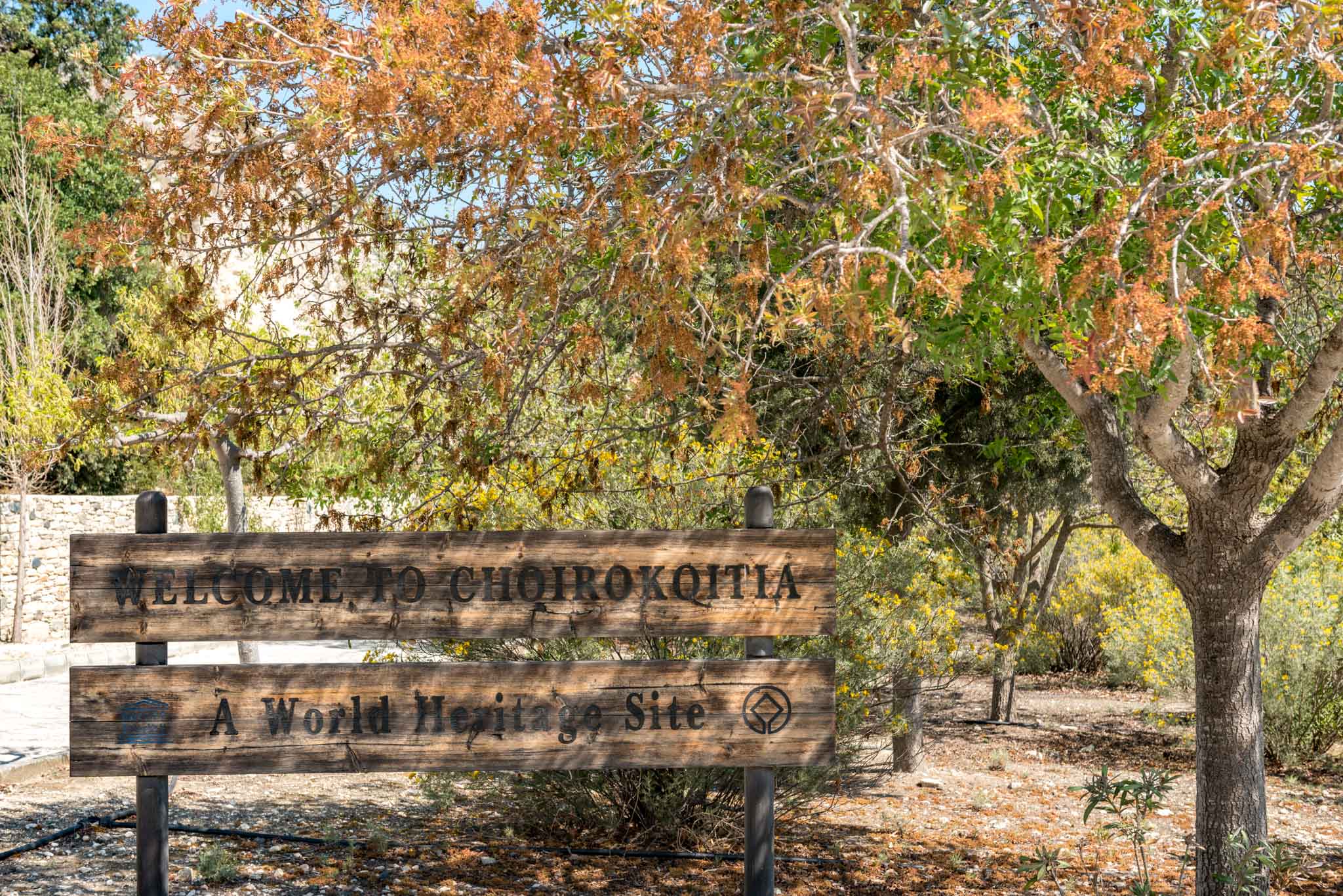 Choirokoitia Neolithic Settlement