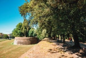 Le Mura di Lucca/Lucca City Walls 