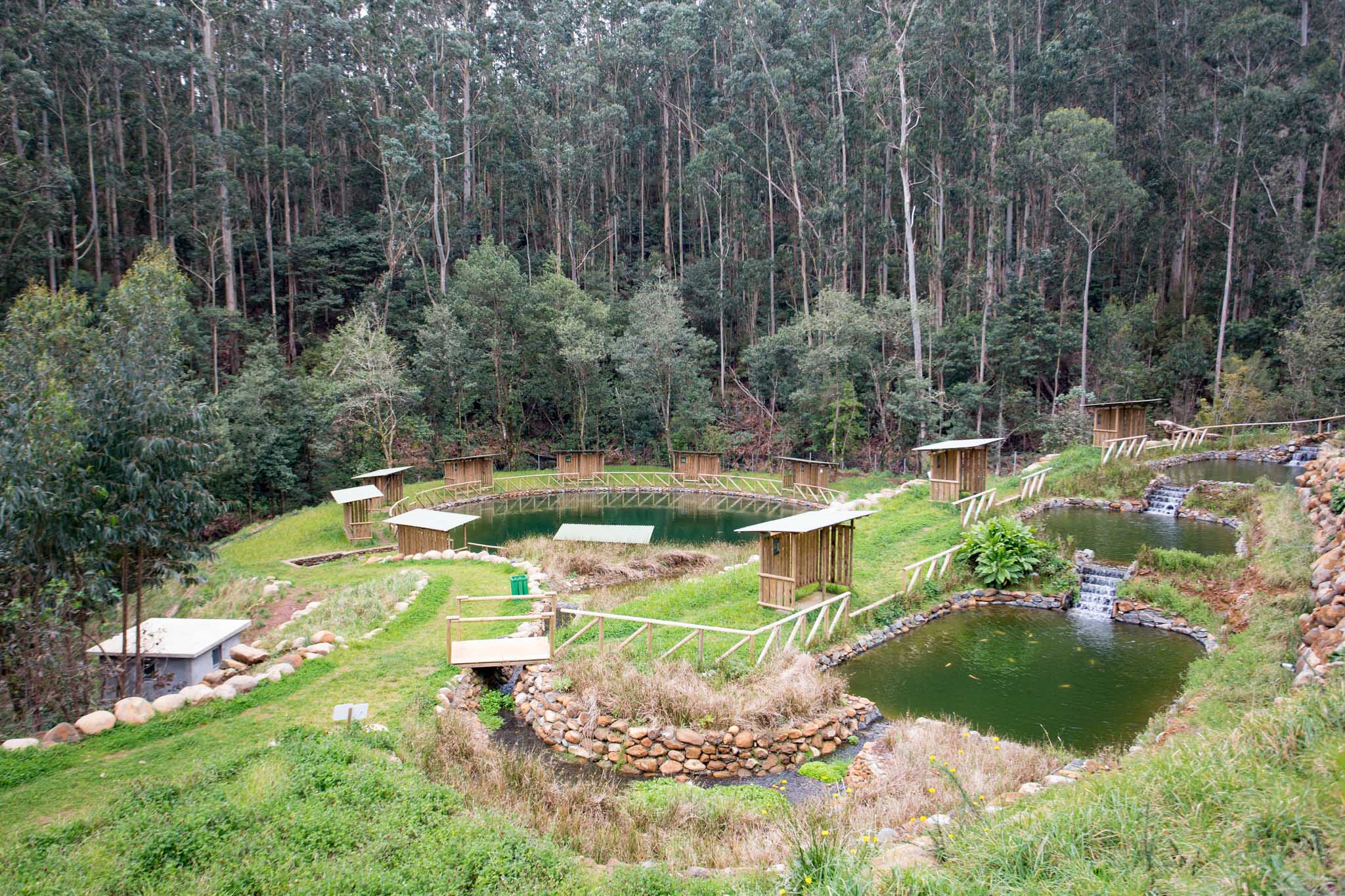 Parque Ribeira Primeira