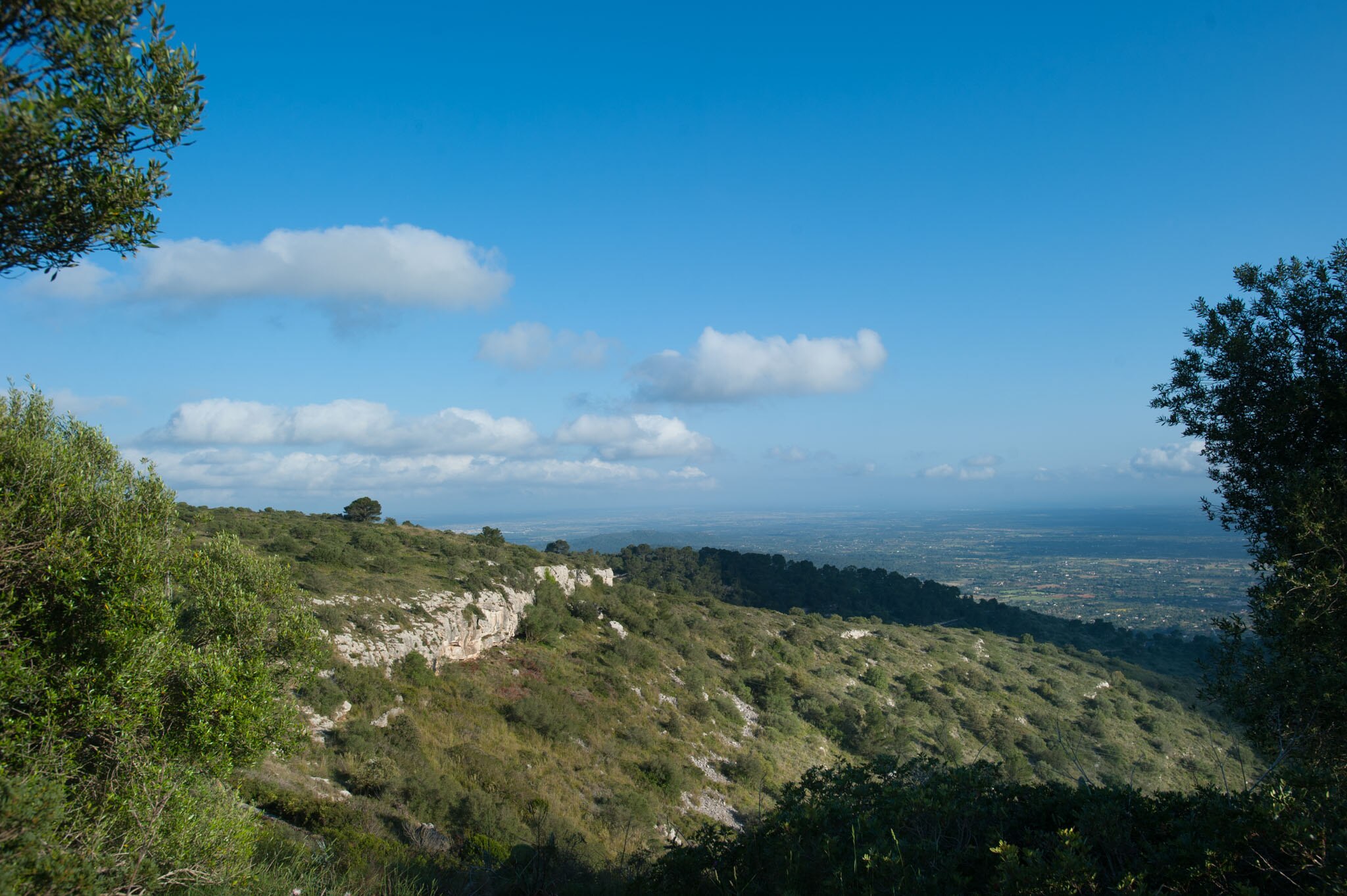 La Reserva Puig de Galatzo 
