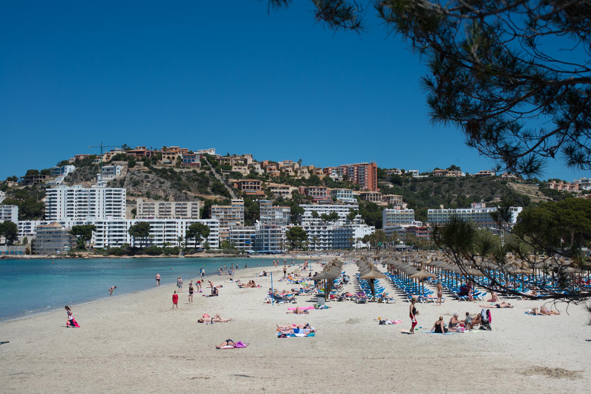 Playa Santa Ponsa Majorca Jet2holidays playa-santa-ponsa-majorca-jet2holidays