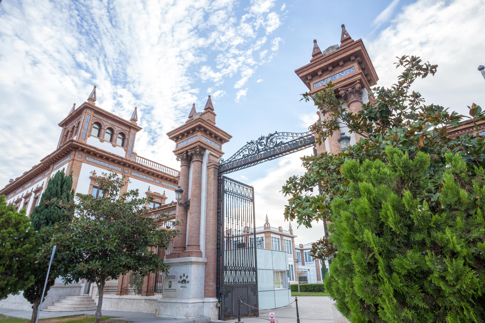 Russian Museum Collection