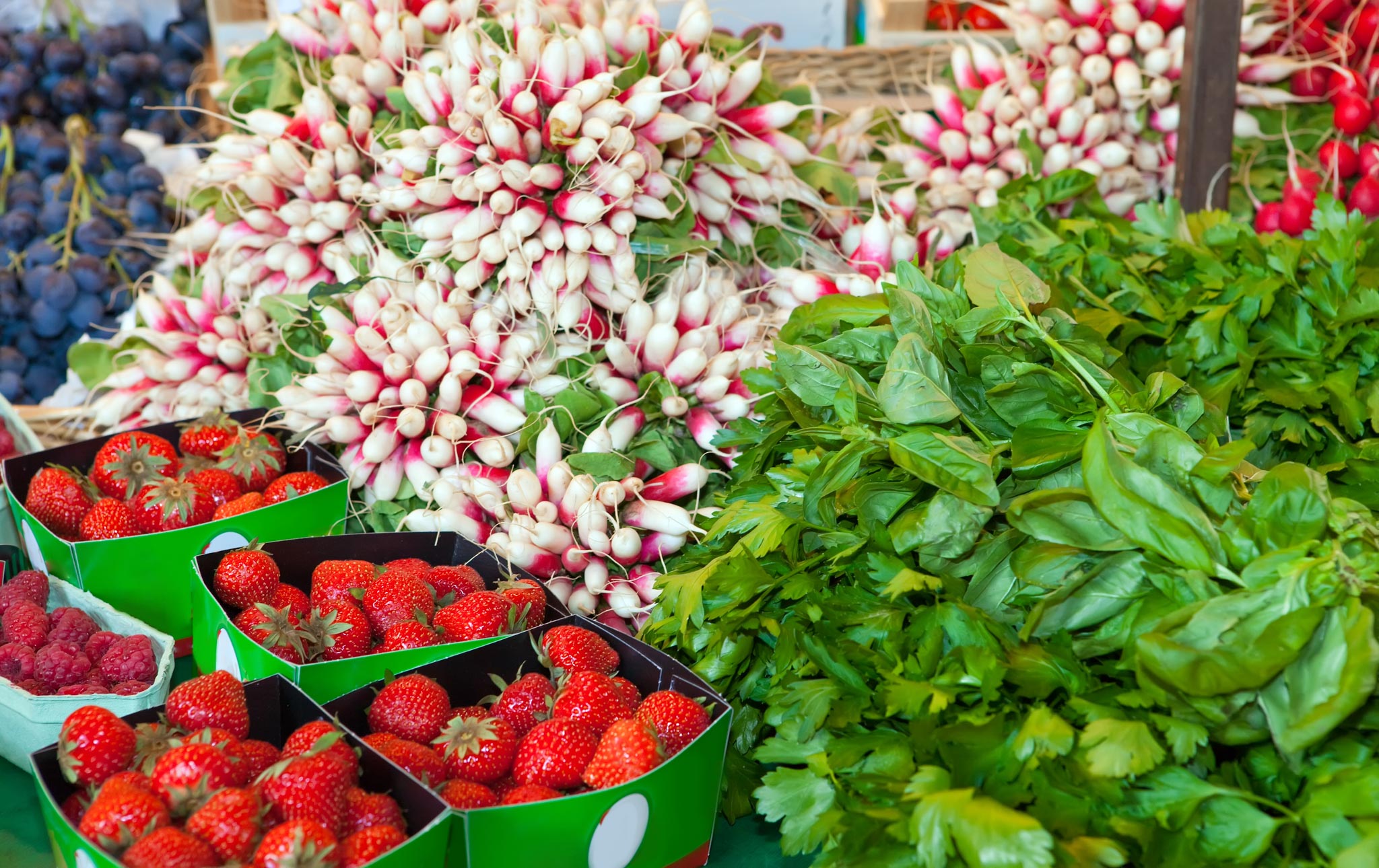 Via Pignasecca Market