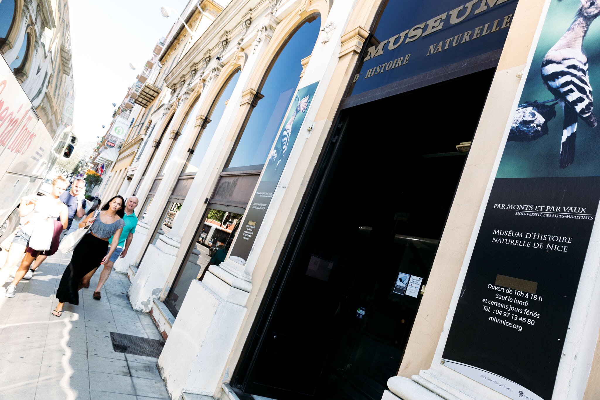 Natural History Museum