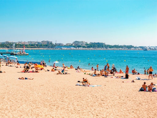 Soak up the sunshine