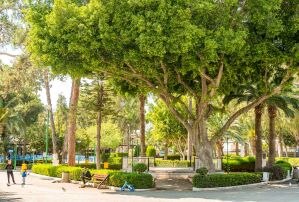 Limassol Municipal Gardens