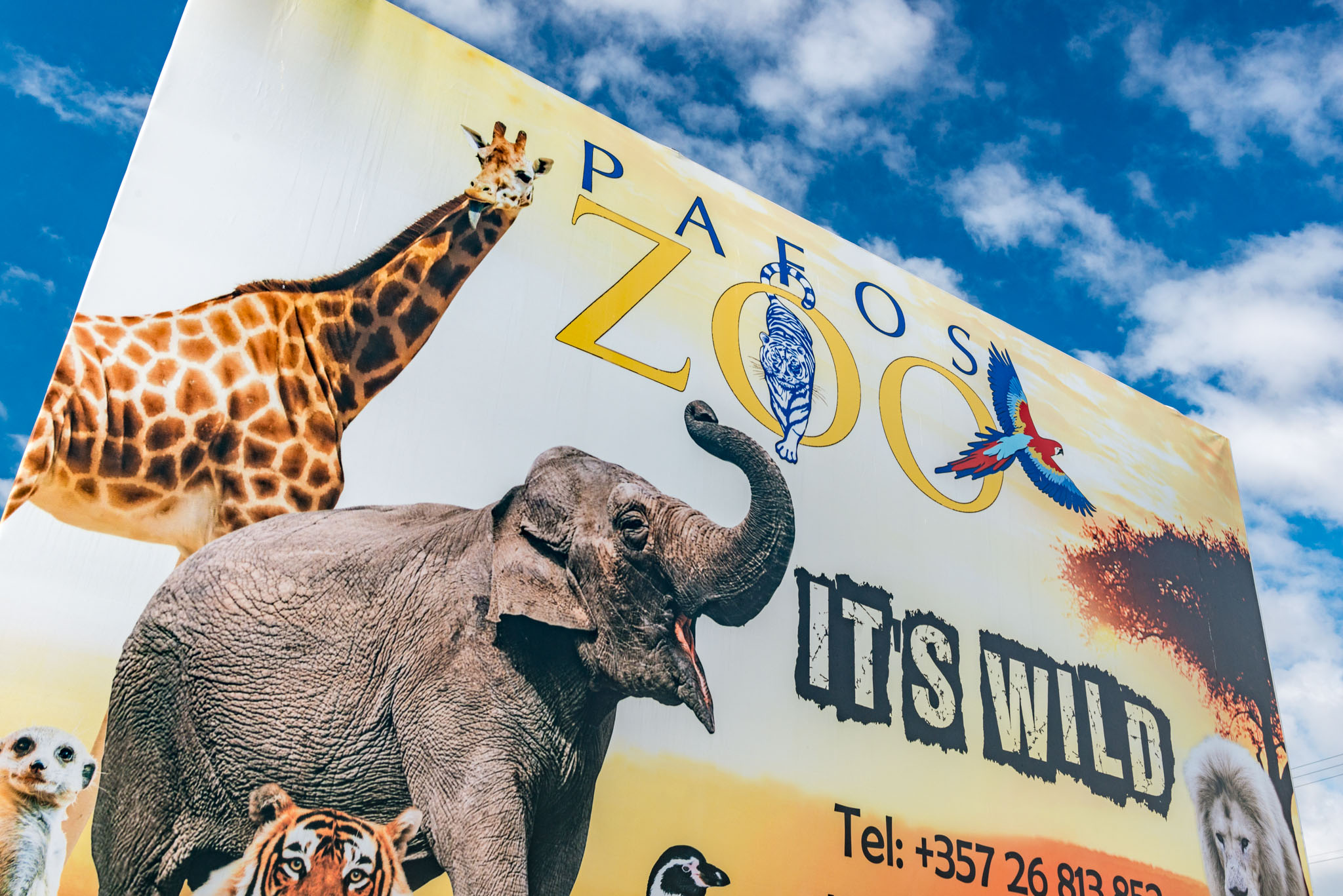 Paphos Zoo (Cyprus Paphos Airport) | Jet2holidays