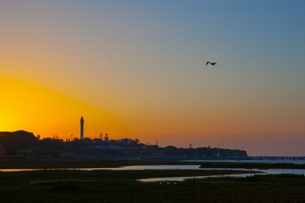 Marismas del Río Piedras y Flecha del Rompido Natural Park