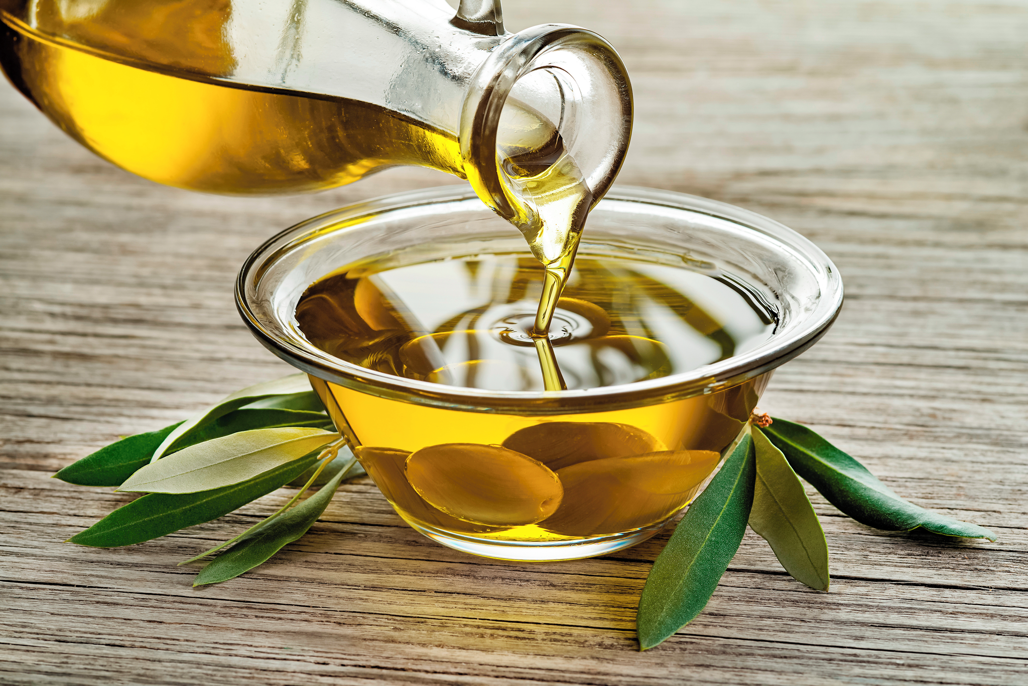 Paragaea Olive Oil Factory