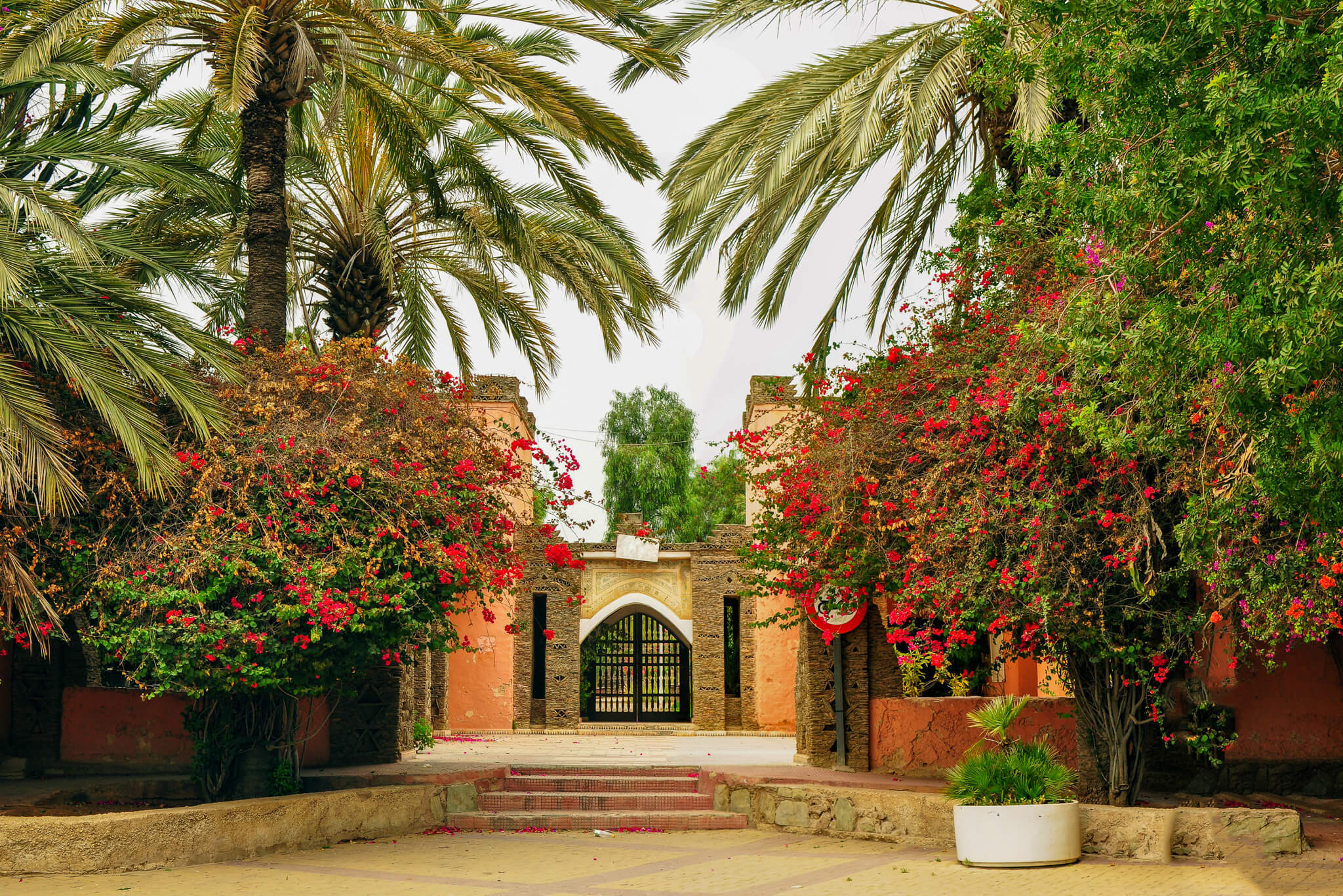 Jardin d'Olhao