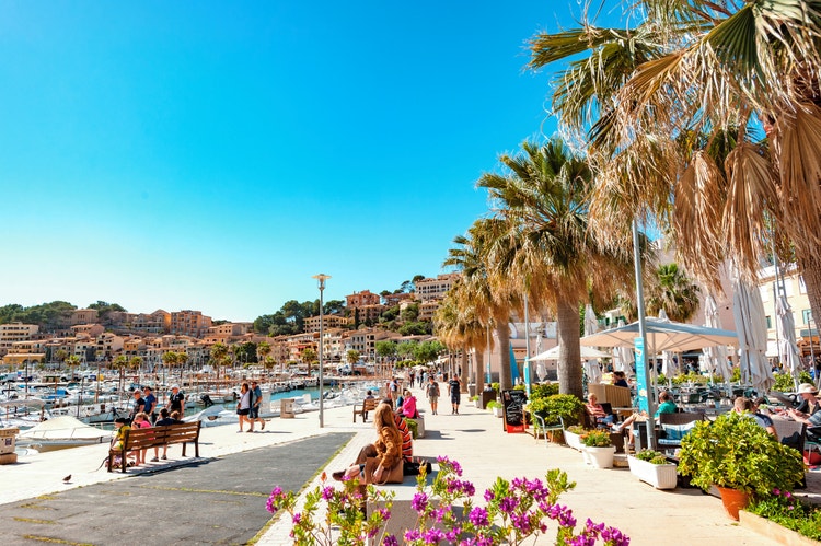 A sunny view of Puerto Soller, with palm trees in the foreground and colorful buildings lining the hillside under a blue sky.