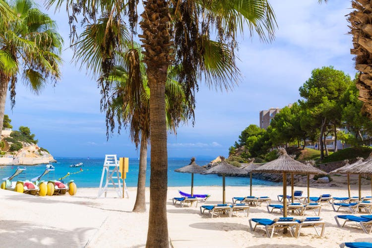 A beach at Cala Vinas featuring palm trees, blue water, beach huts, and a glimpse of residential buildings in the background.