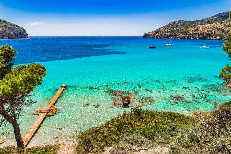 Vibrant turquoise waters of Camp De Mar, framed by lush greenery and rocky shores, under a clear blue sky.