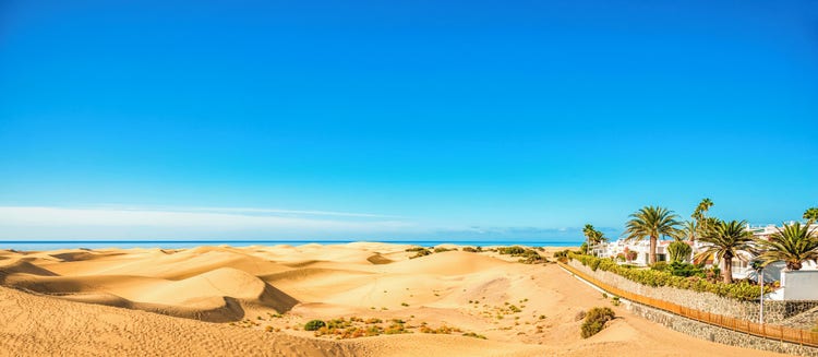 Scenic view of Maspalomas with golden sand dunes, lush palm trees, and a clear blue sky, evoking a tranquil beach atmosphere.