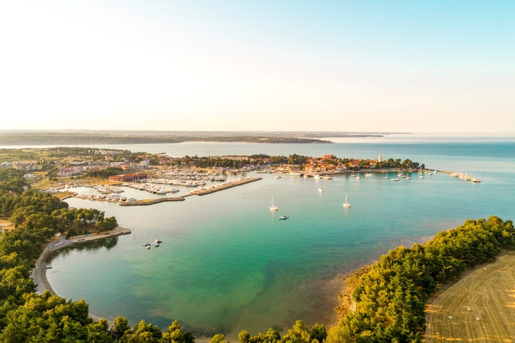The picturesque harbor of Novigrad filled with boats, surrounded by lush greenery and coastal buildings.